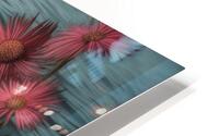  Glowing lotus flower2 HD Metal print