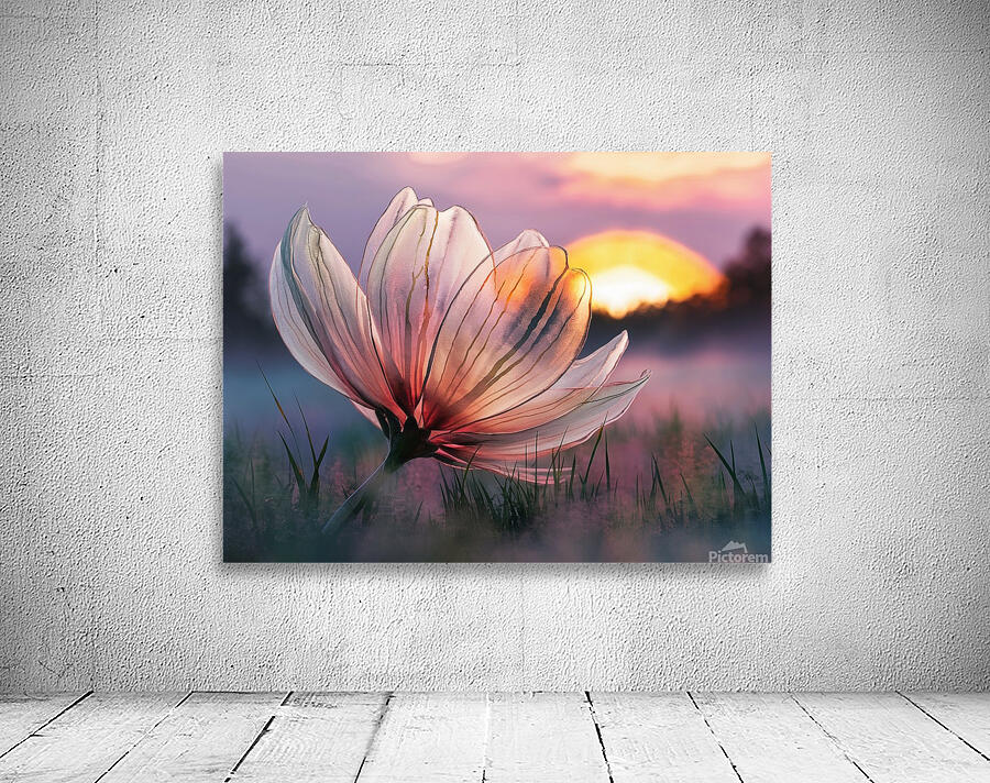 translucent flower with delicate petals2 Wall Preview
