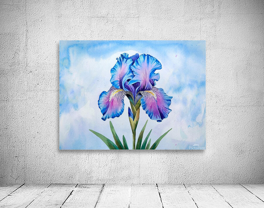  blue iris flower  Wall Preview