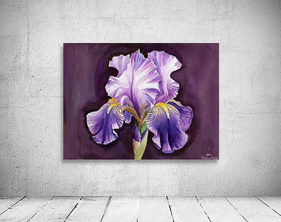 A purple iris  Wall Preview
