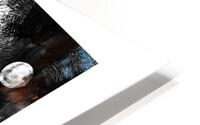 Windsor HD Metal print