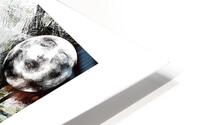 Norma Jeane HD Metal print
