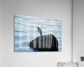 Vancouver herring mediating  Acrylic Print
