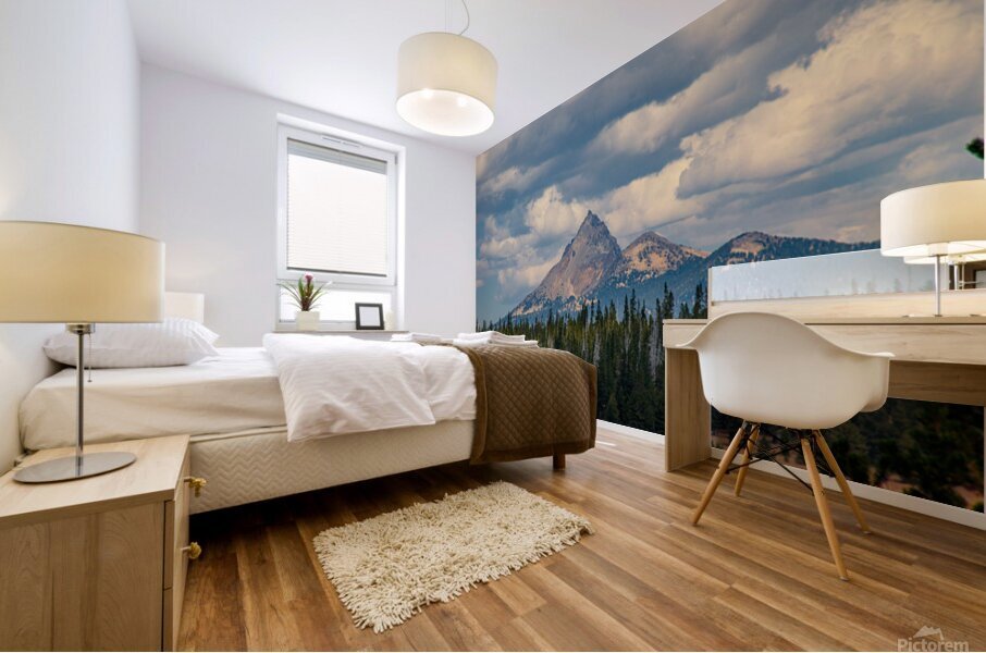 Mount Theilsen Mural print