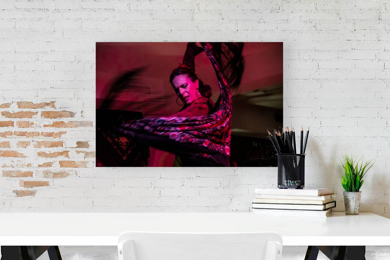 flamenco flow Reproduction