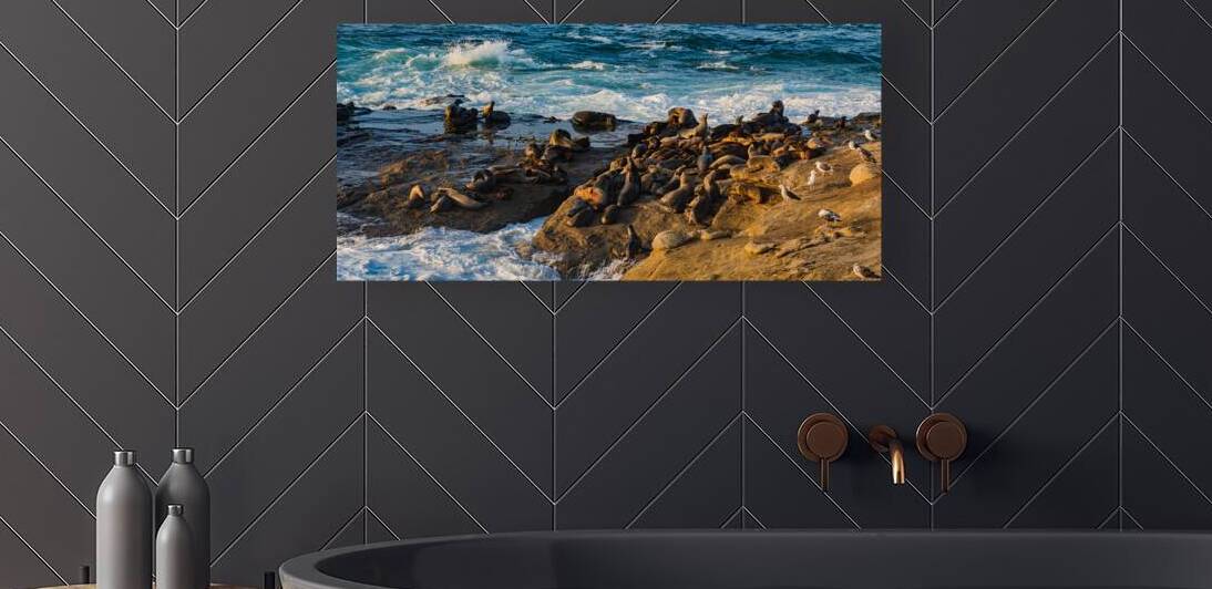 Sea Lion Cove Pano by Allen Lincoln Media