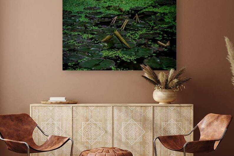 Queen Elizabeth Park Lilypad by Allen Lincoln Media