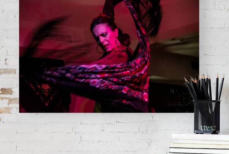 flamenco flow by Allen Lincoln Media