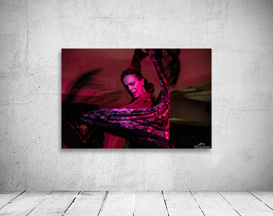 flamenco flow Wall Preview