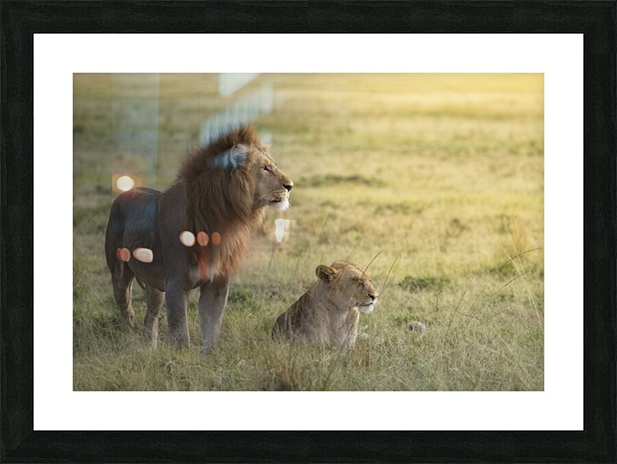 tumeona 13 Picture Frame print