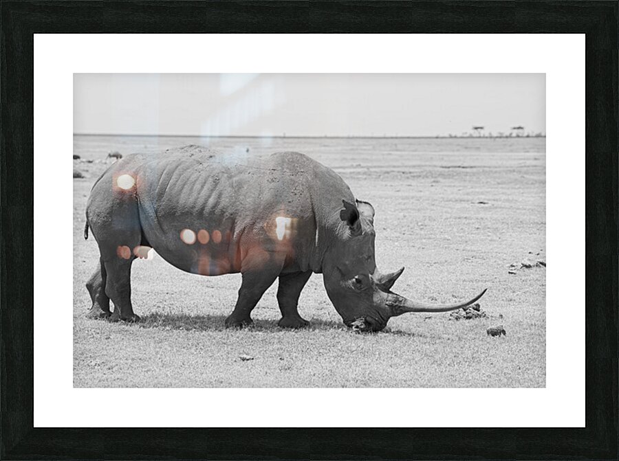 tumeona 53 Picture Frame print