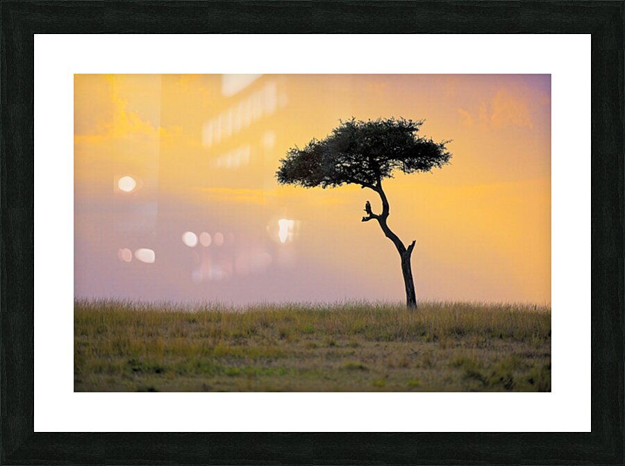 tumeona 4 Picture Frame print