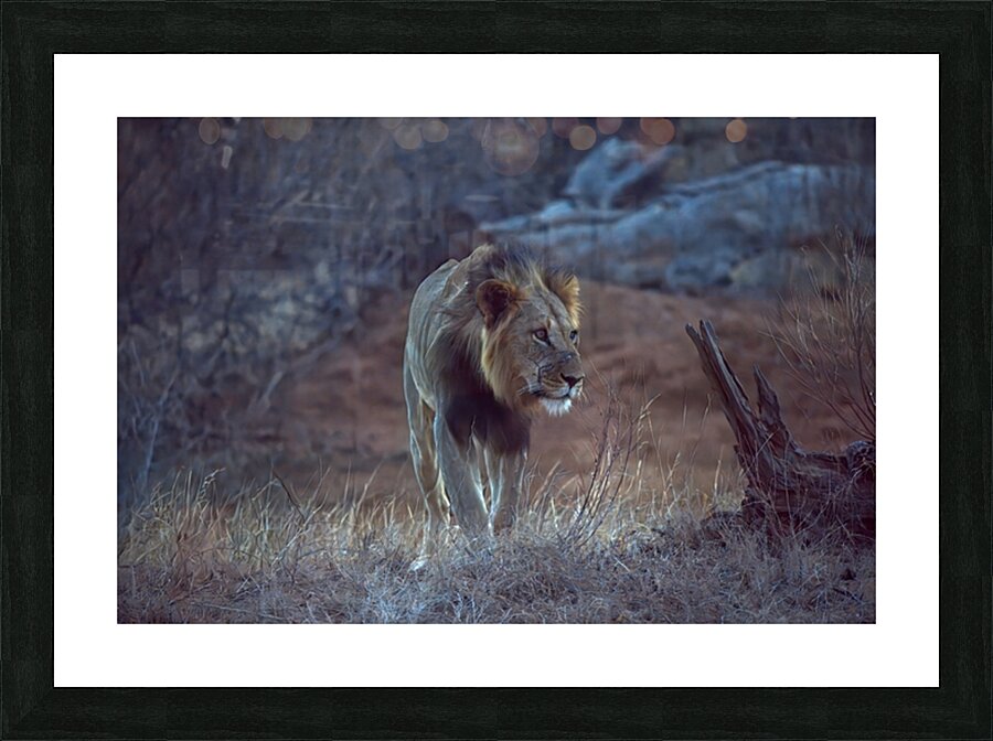 tumeona 1 Picture Frame print