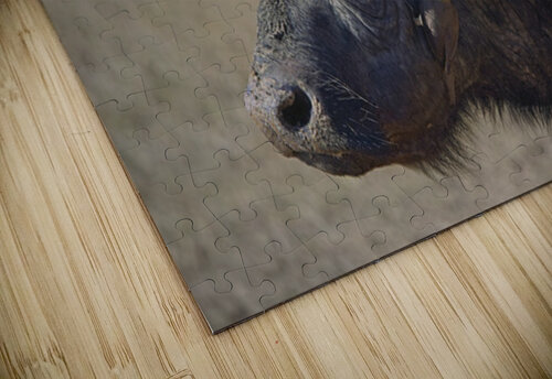 tumeona 51 tumeona puzzle