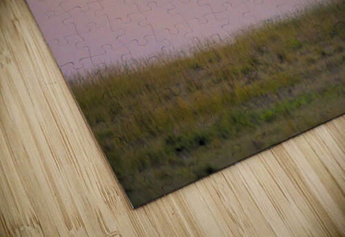 tumeona 4 tumeona puzzle