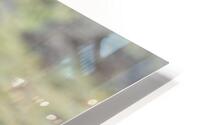tumeona 4 HD Metal print