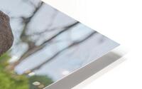 tumeona 31 HD Metal print