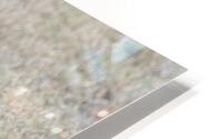 tumeona 40 HD Metal print
