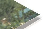 tumeona 41 HD Metal print