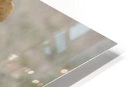 tumeona 49 HD Metal print