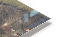 tumeona 51 HD Metal print