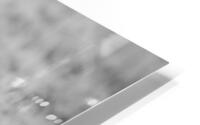 tumeona 1 HD Metal print