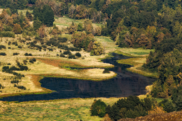 Hidden Lake Digital Download