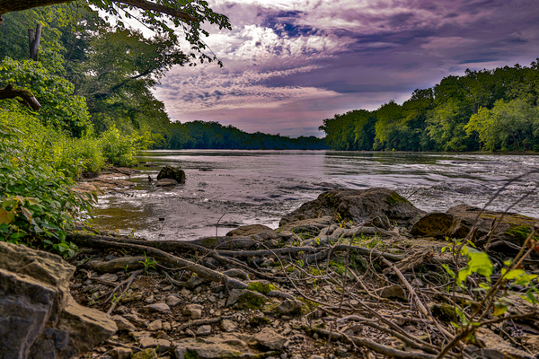 Waterscape Park Digital Download