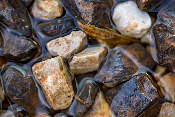 Wet Rocks Digital Download