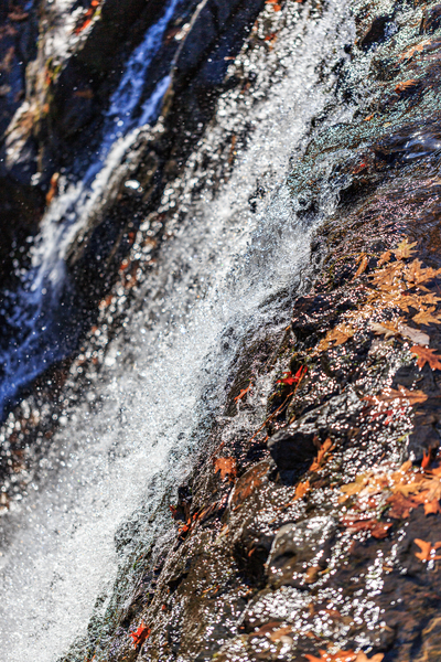 Still Falls Téléchargement Numérique