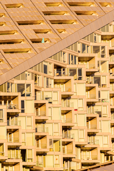 Modern Life Téléchargement Numérique