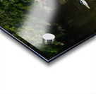 Heron Takes Flight Acrylic print