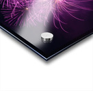 D.C. Fireworks-Purple Edition Acrylic print