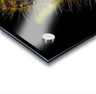 Gypsy Moth Caterpillar Impression Acrylique