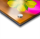 On a Mission Acrylic print