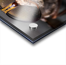 Macro Fly Acrylic print