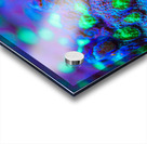 Deep Sea Anemone Acrylic print