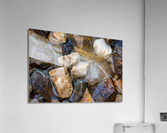 Wet Rocks Acrylic Print