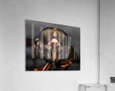 Macro Fly Acrylic Print