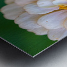 Sweet Flower Metal print