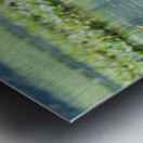 Waterfowl Party Metal print