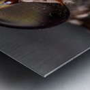 Macro Fly Metal print