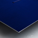 Sweet Baltimore Metal print