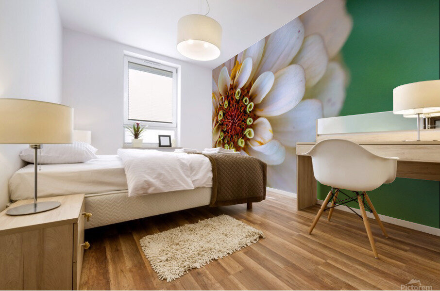 Sweet Flower Mural print