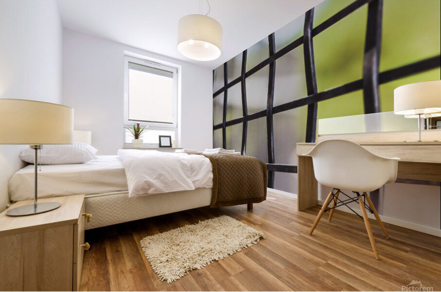 Through the Screen Mural print