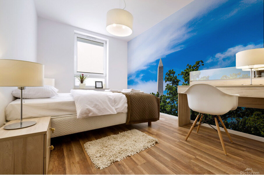 Distant D.C. Mural print