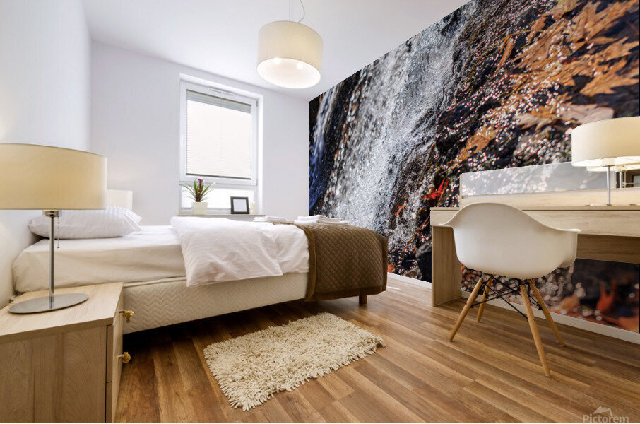 Still Falls Impression murale