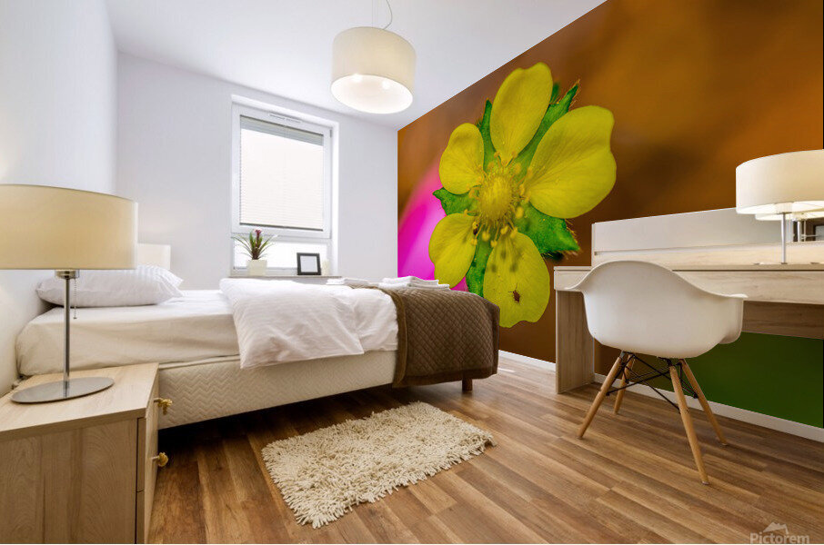 On a Mission Mural print