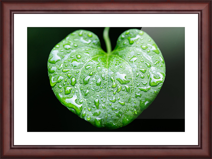 Simple Rain Picture Frame print
