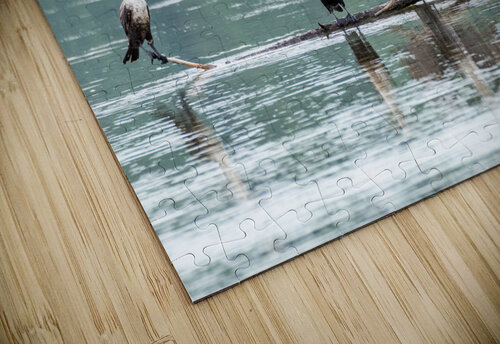 Waterfowl Party Nativ puzzle